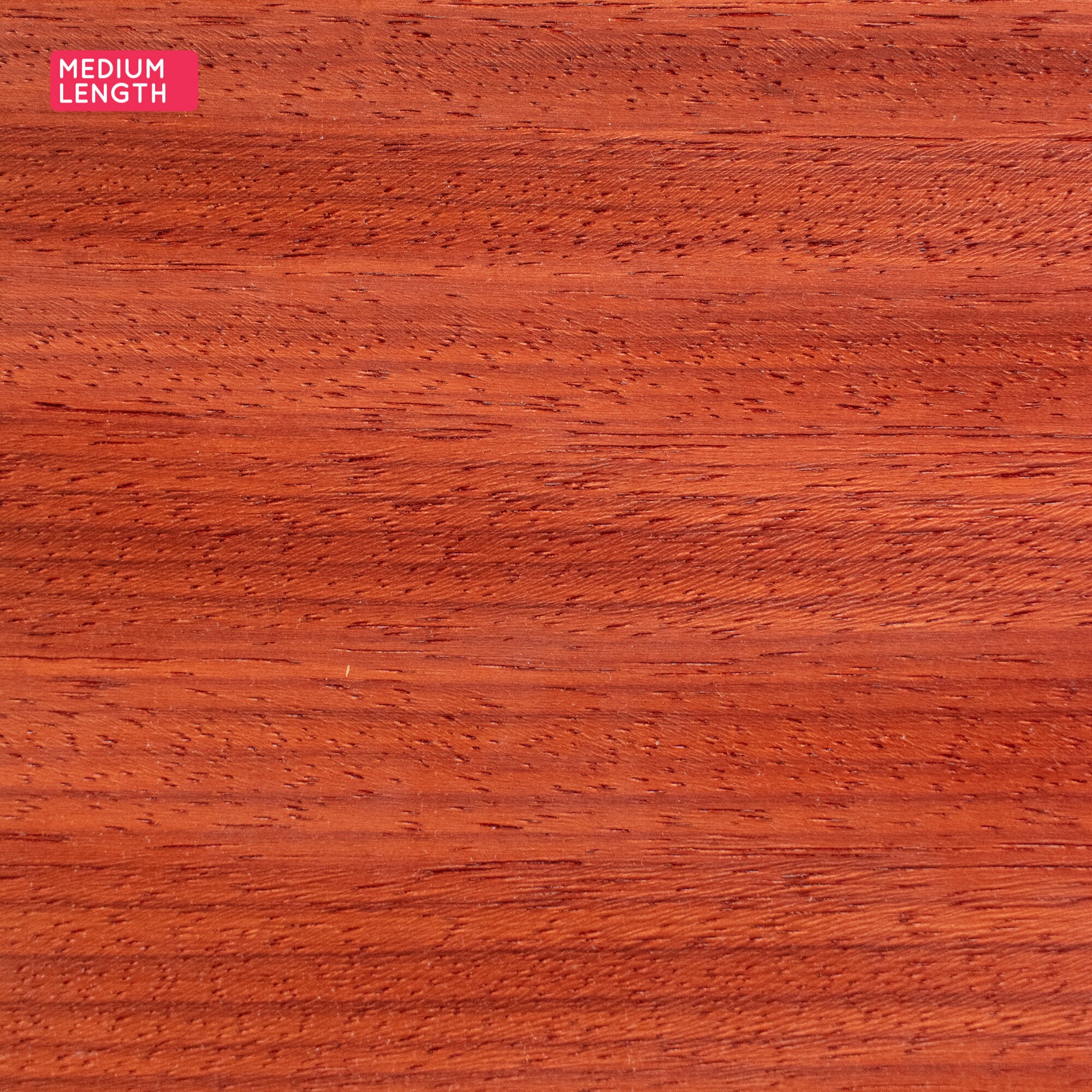 Padauk Wood Veneer Sheets 56x22cm 2 Sheets Grade A Etsy