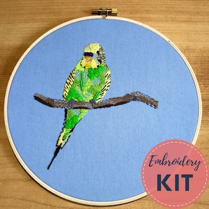 Budgerigar Embroidery Kit, Handmade, modern embroidery, DIY embroidery, Australian Bird, Budgie