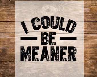 I Could Be Meaner DTF Transfer, Funny Humor DTF Transfer, Heat Transfer, Direct To Film, Funny Gift For Nice People, Funny DTF Prints