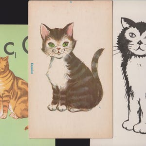 May include: A selection of cat illustrations. One is a vintage-style painting of a seated cat with brown and white fur, green eyes, and pink ears. Another is a black and white line drawing of a cat. A third image shows a cat with orange and brown stripes.