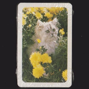 May include: A deck of playing cards featuring a fluffy, light gray cat with green eyes amidst yellow flowers and green foliage. The cards are sealed in clear plastic, set against a black background.