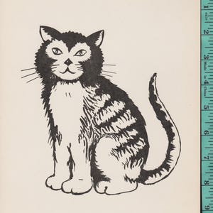 May include: A black and white illustration of a cat, seated with a fluffy chest and striped body. The cat has a friendly expression and whiskers. The text at the bottom reads "READING READINESS CARDS, Set Two, HEAR. Card 5 (cat)".