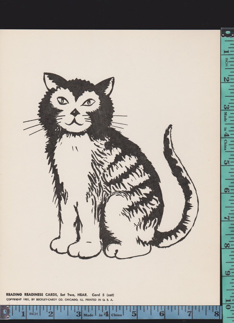 May include: A black and white illustration of a cat, seated with a fluffy chest and striped body. The cat has a friendly expression and whiskers. The text at the bottom reads "READING READINESS CARDS, Set Two, HEAR. Card 5 (cat)".