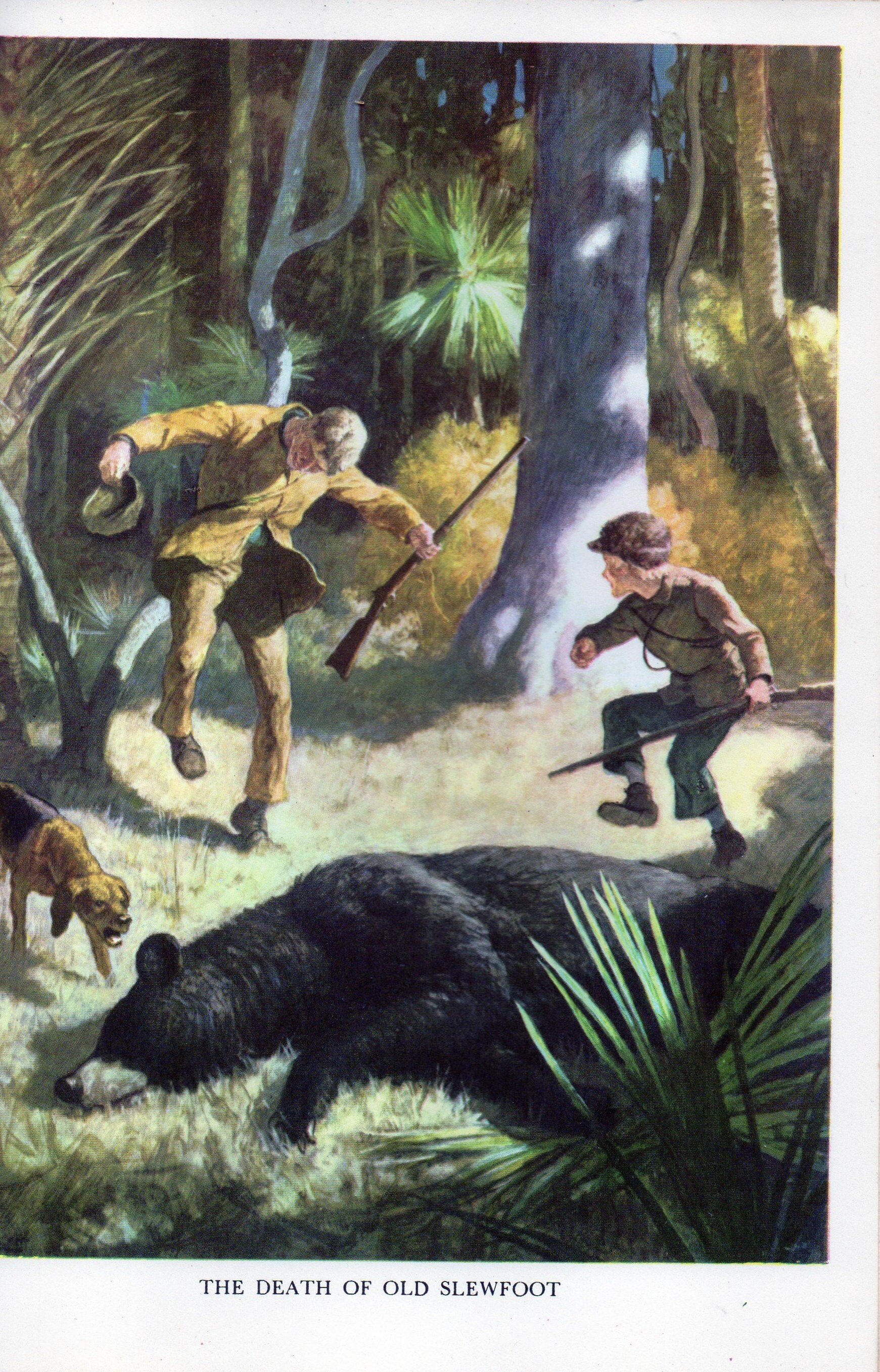 Vintage Book THE YEARLING Illustrated By N.C. WYETH Front