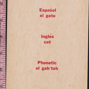 May include: A vintage flashcard with a red border and the word "cat" at the top. The card features translations in Spanish, English, and phonetic pronunciation. The text "el gato" appears twice.