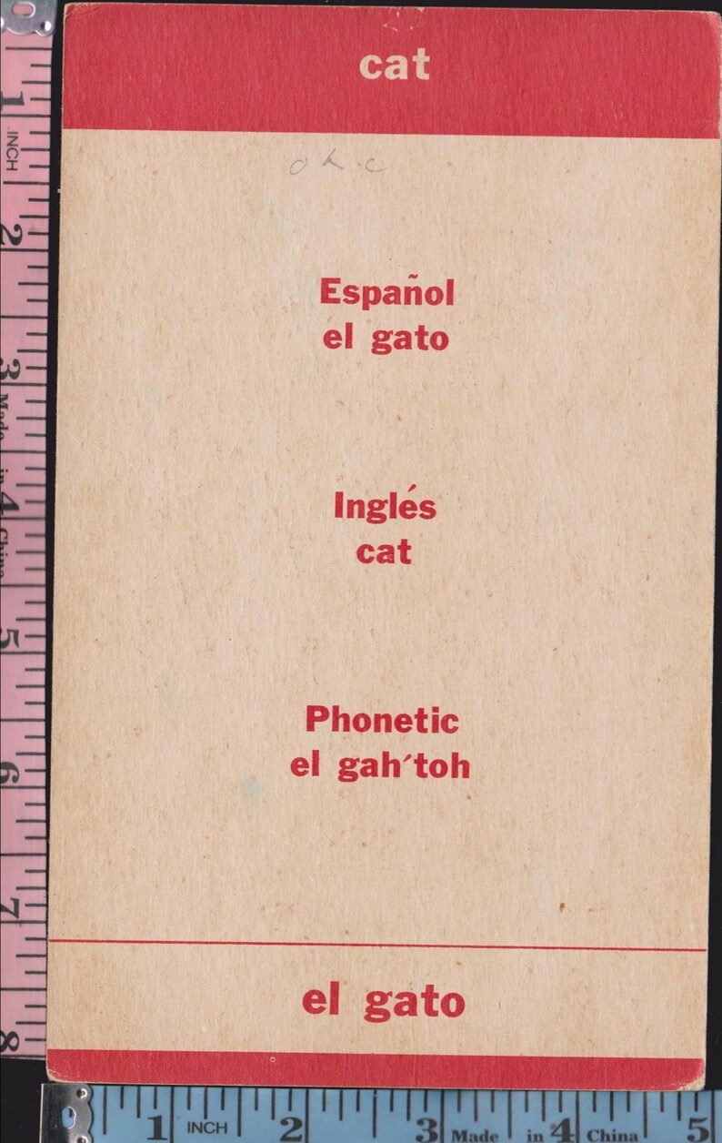 May include: A vintage flashcard with a red border and the word "cat" at the top. The card features translations in Spanish, English, and phonetic pronunciation. The text "el gato" appears twice.