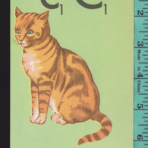 May include: A vintage illustration of a seated orange tabby cat with dark brown stripes, set against a light green background. The image includes the letters "C C" and a measuring tape showing inches.