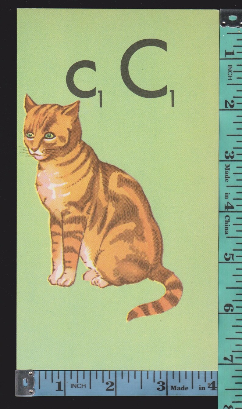 May include: A vintage illustration of a seated orange tabby cat with dark brown stripes, set against a light green background. The image includes the letters "C C" and a measuring tape showing inches.
