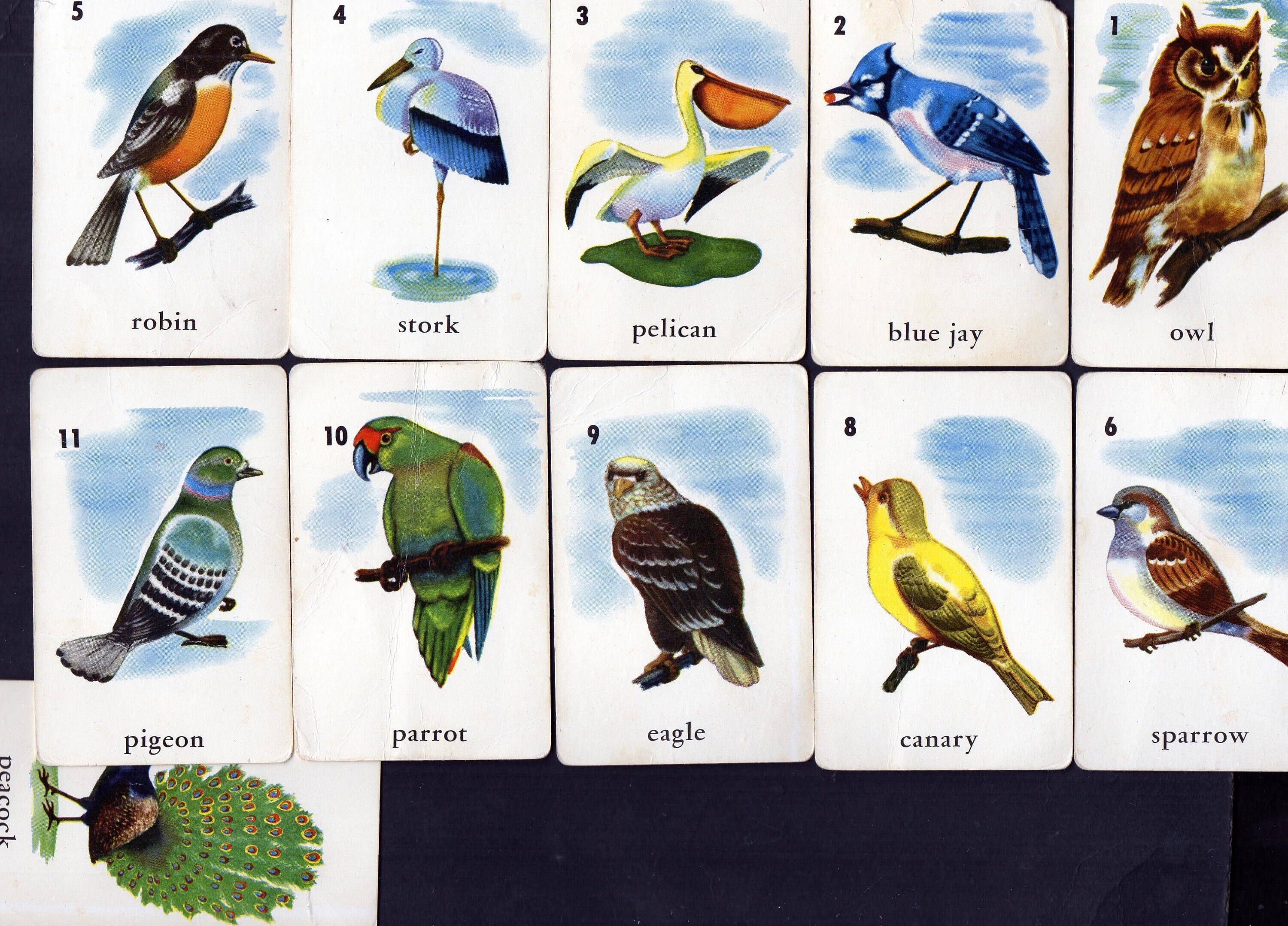 Vintage ANIMAL BIRD & FISH Card Game Complete Etsy
