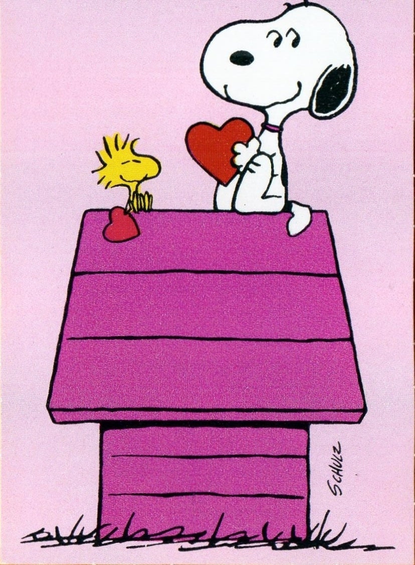 Vintage PEANUTS Card SNOOPY Sits on Top of Dog House W