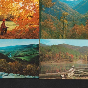 Vintage FALL SCENES Photo Post Card Lot/4 Colorful AUTUMN Leaves,hunter ...