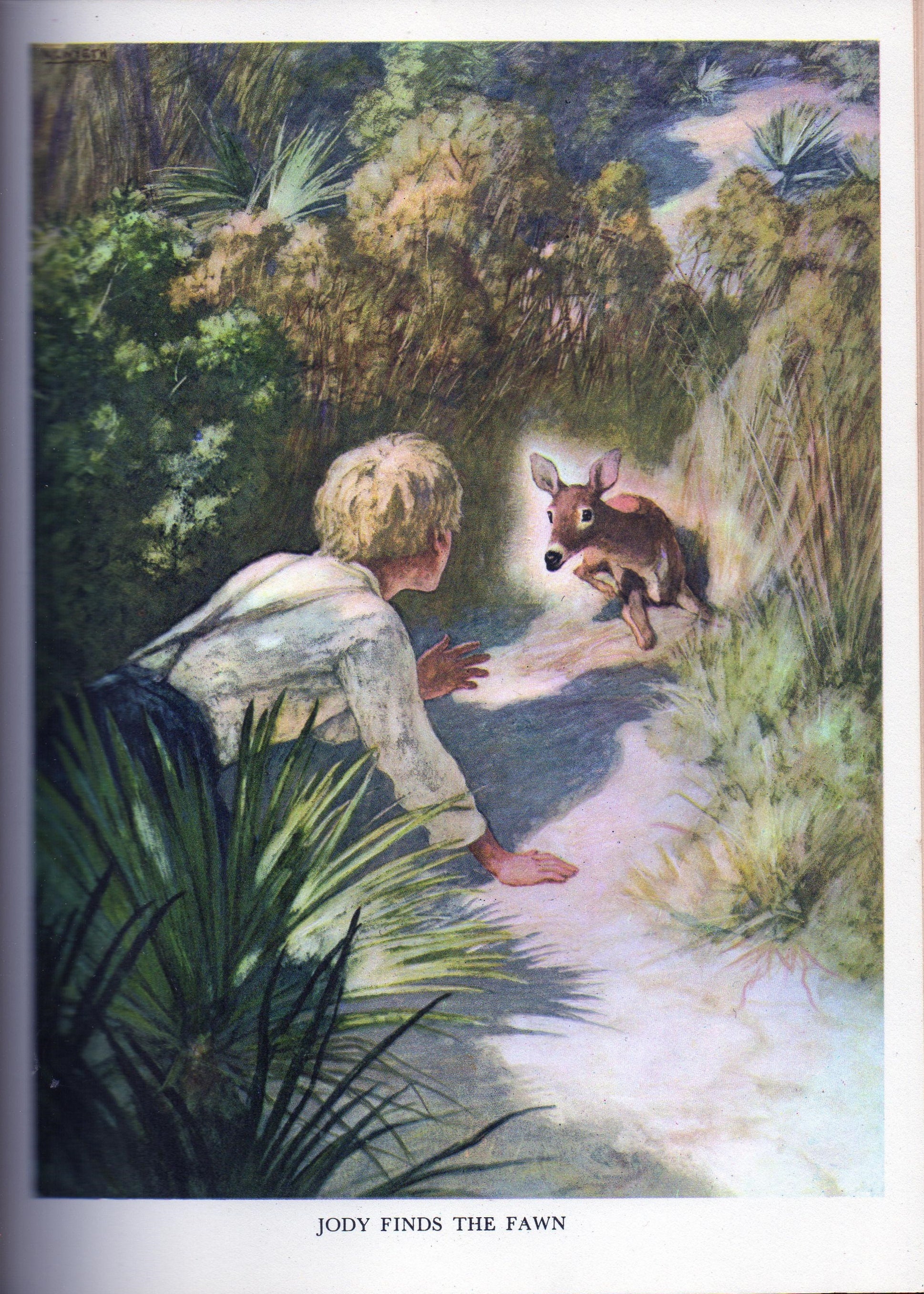 Vintage Book THE YEARLING Illustrated By N.C. WYETH Front Etsy