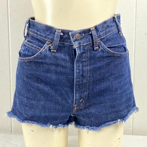 Big E Levis Shorts - Etsy
