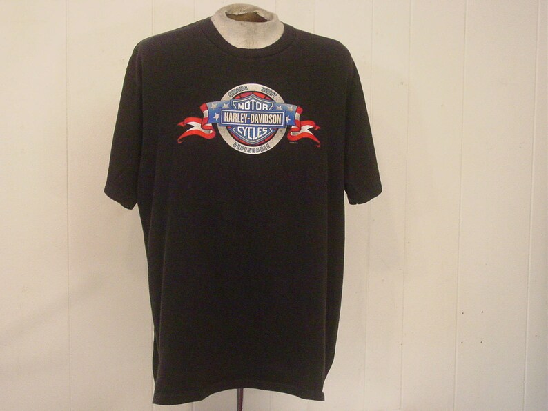 Harley-Davidson Mens Black Hills Skull Top Grey T-Shirt