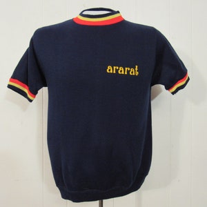 Vintage sweatshirt, 1960s sweatshirt, Ararat t shirt, striped sweatshirt, Champion sweatshirt, vintage clothing, size medium
