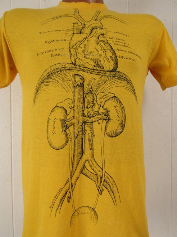 Vintage t shirt, Leslie Arwin, S, anatomy t shirt… - image 3