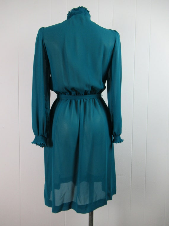 Vintage dress, blue dress, 1970s dress, Lady Caro… - image 6