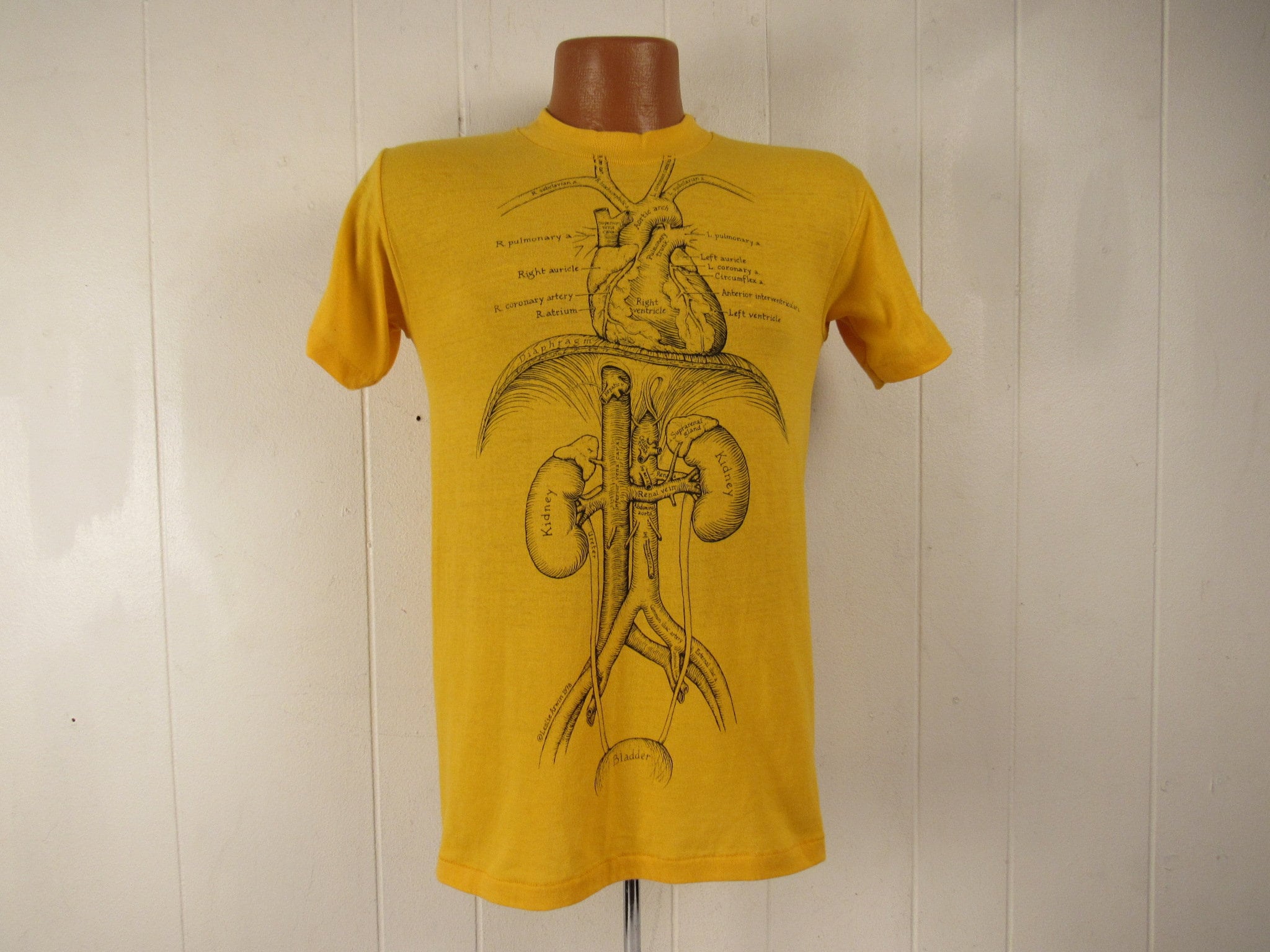Vintage T Shirt, Leslie Arwin, S, Anatomy T Shirt, 1970s T Vintage T Shirt, Leslie Arwin, S, Anatomy T Shirt, 1970s T