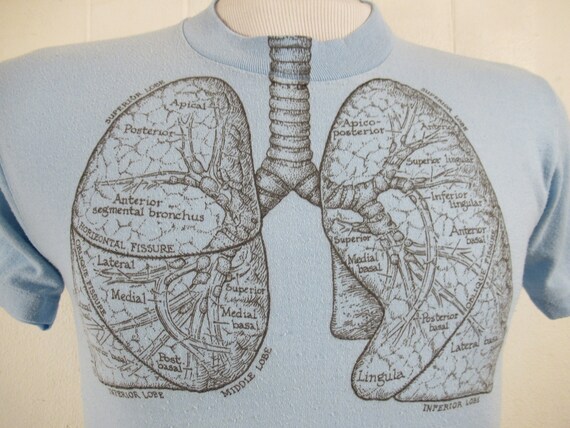 Vintage t shirt, S, anatomy t shirt, 1970s t shirt