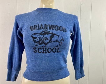 Vintage sweatshirt, graphic sweatshirt, 1970s sweatshirt, Buffalo sweatshirt, school sweatshirt, Briarwood, vintage clothing, size small