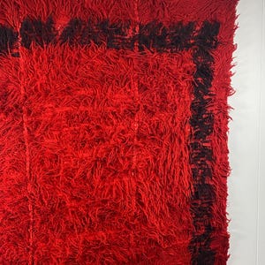 May include: A red shaggy rug with a black border. The rug is hanging on a wall with clips.