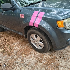 May include: A teal SUV with pink racing stripes on the front fender. An American flag sticker is visible on the side. The vehicle is parked on a sandy surface covered with fallen leaves.