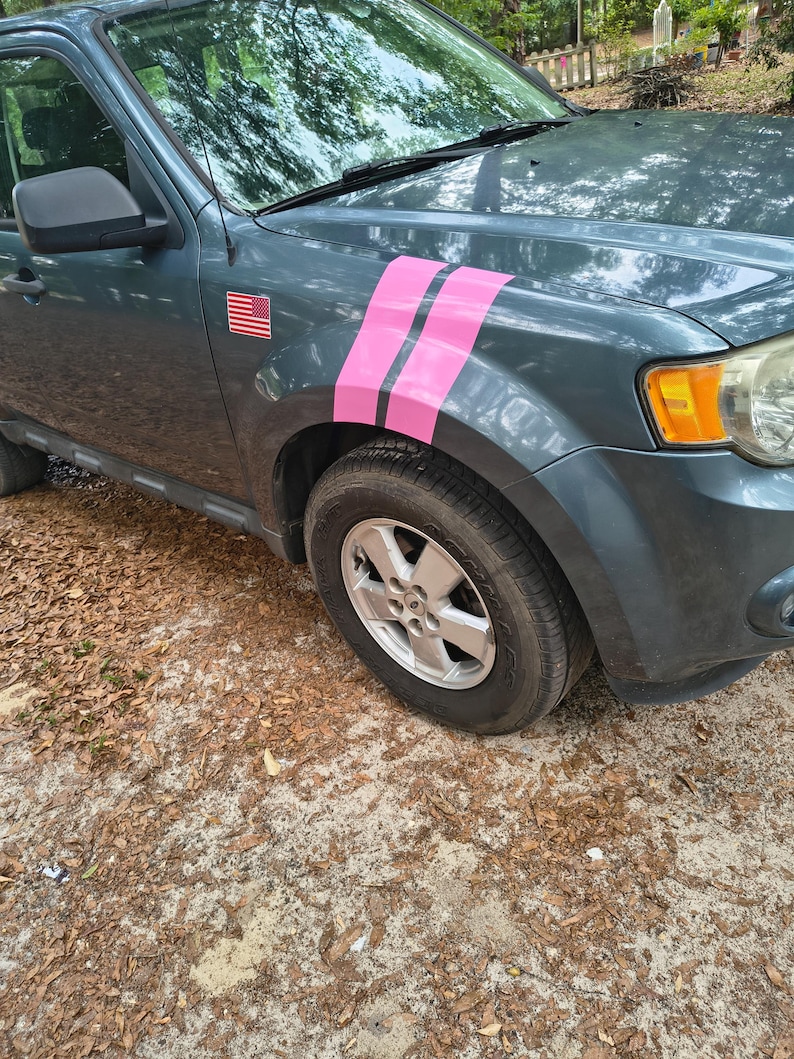 May include: A teal SUV with pink racing stripes on the front fender. An American flag sticker is visible on the side. The vehicle is parked on a sandy surface covered with fallen leaves.