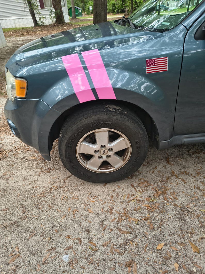 May include: A teal SUV with pink racing stripes on the front fender. An American flag sticker is visible on the side. The vehicle has a silver wheel and a black tire.