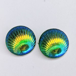 Shell earrings - beach earrings - mermaid earrings - tropical earrings - summer earrings - ocean - mermaid jewelry - tropical earrings