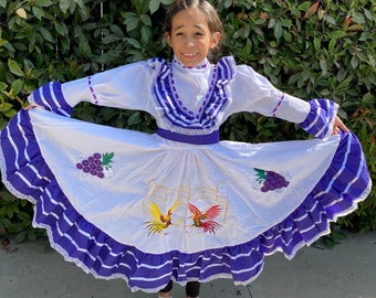 Vestido típico mexicano de Aguascalientes para niña Vestido - Etsy México Vestido típico mexicano de Aguascalientes para niña Vestido - Etsy México