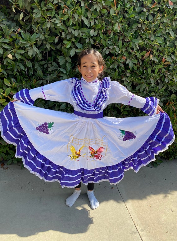 Vestido típico mexicano de Aguascalientes para niña Vestido - Etsy México