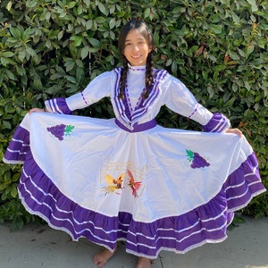 May include: A white dress with purple detailing, embroidered with grapes and a rooster design. The dress has long sleeves, a high collar, and a full skirt with a ruffled hem. Suitable for a cultural event or performance.
