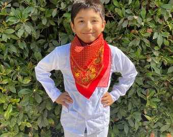 Veracruz costume / Traje Jarocho (Nino) Paliacate Included./ Mexican Boy's Clothes/ Cinco de Mayo/ 16 de Septiembre/ Cultural Attire/Jarocho