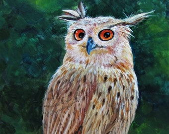 Owl 8x10 acrylic original, bird painting, wildlife bird, nature art, small painting