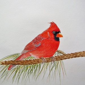 Cardinal painting, 8x10 watercolor original, hand painted, varnished painting, male cardinal, red bird, small painting, no glass