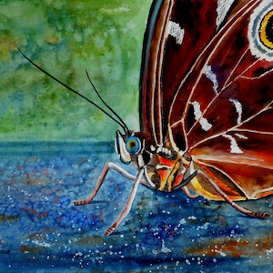 Original Butterfly Watercolor Painting: Brown, Green, and Blue (11x15)