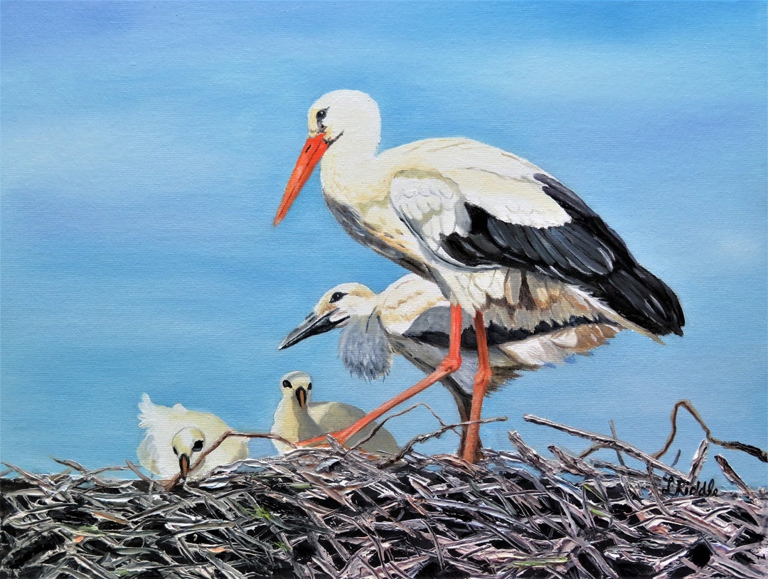 Storks 11x14 Oil Original Painting Wildlife Bird Next Nature - Etsy