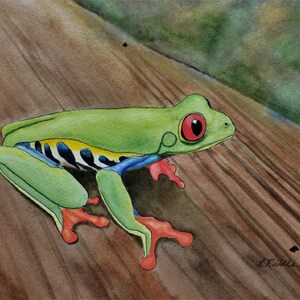 Tree Frog 9x12 watercolor original, hand painted, red eyed tree frog, colorful frog, small painting