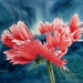 Linda Riddle