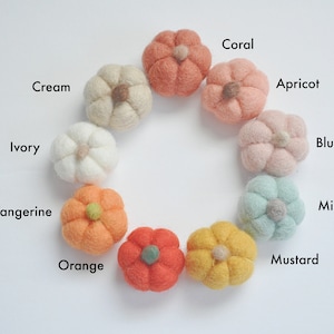 Coral, Apricot, Blush, Mint, Mustard, Orange, Tangerine, Ivory, and Cream custom pumpkins to choose from.