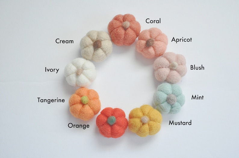 Coral, Apricot, Blush, Mint, Mustard, Orange, Tangerine, Ivory, and Cream custom pumpkins to choose from.