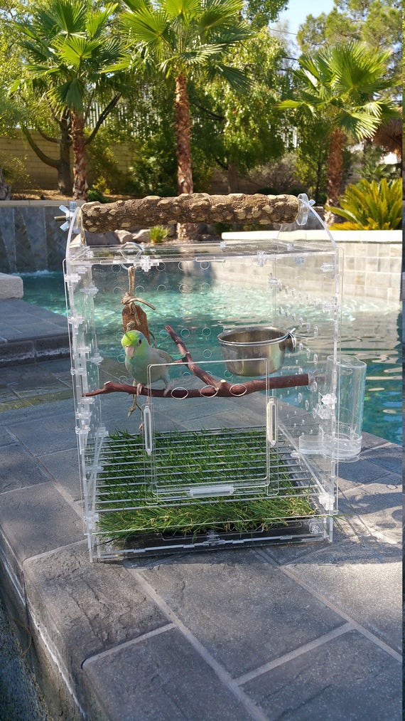 Pet Safe Artificial Grass for Carriers Bird Cages and Etsy