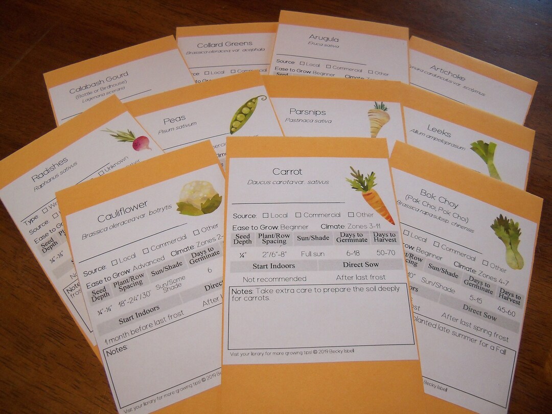 Seed Library Labels, 11 Garden Veggies, Artichoke, Carrot, Cauliflower ...