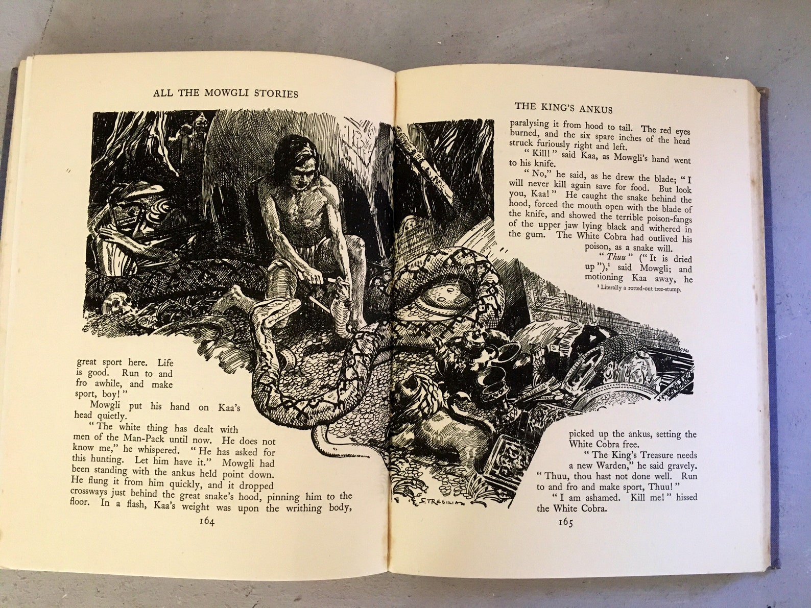 all the mowgli stories all the mowgli stories