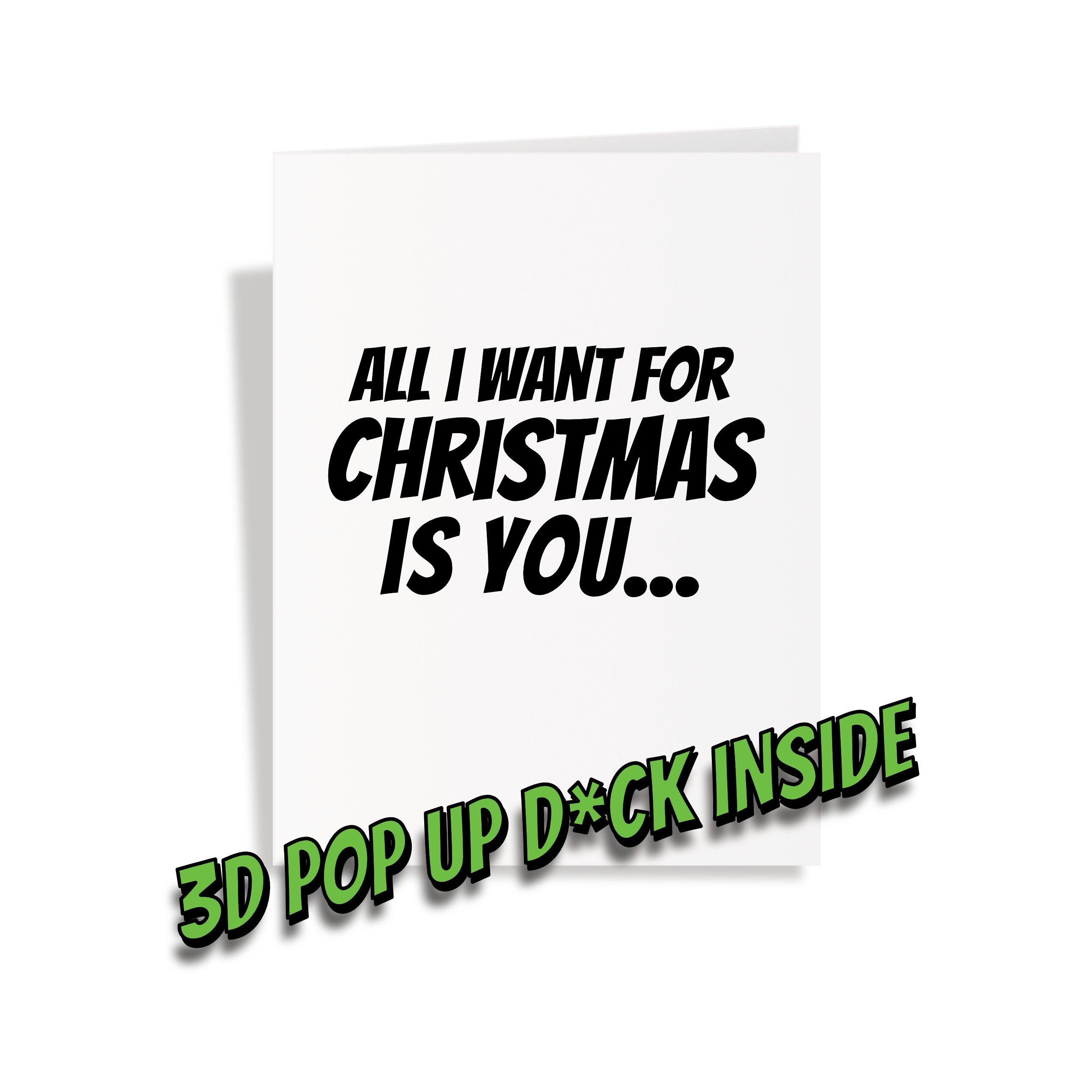 PC569 Even Santa Thinks You're A Dick Funny Christmas Card For Friend Coworker Boyfriend