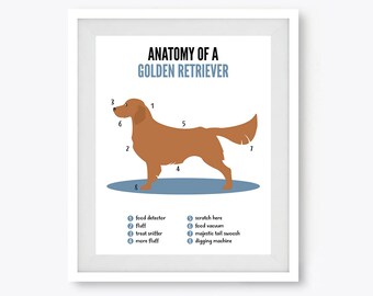 Wallpaper Personalized Golden Retriever Blueprint Golden Retriever Art Etsy For iPhone Free