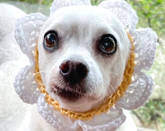 Daisy Flower Hat for Cats and Small Dogs