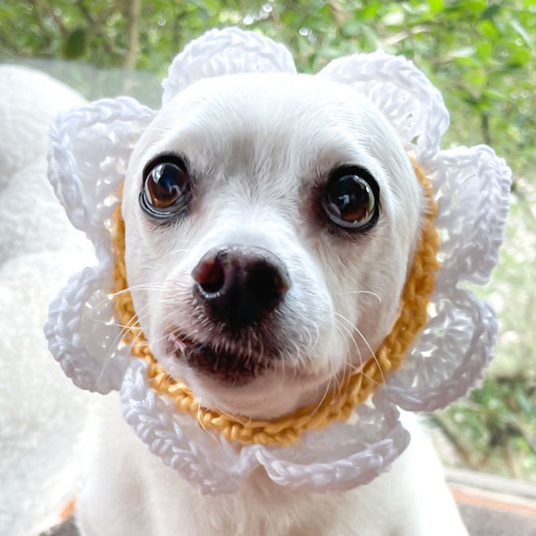 Daisy Flower Hat for Cats and Small Dogs