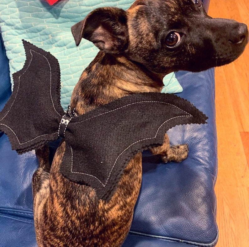 Bat Wings Handmade Dog Bat Costume Halloween Dog Costume for Etsy