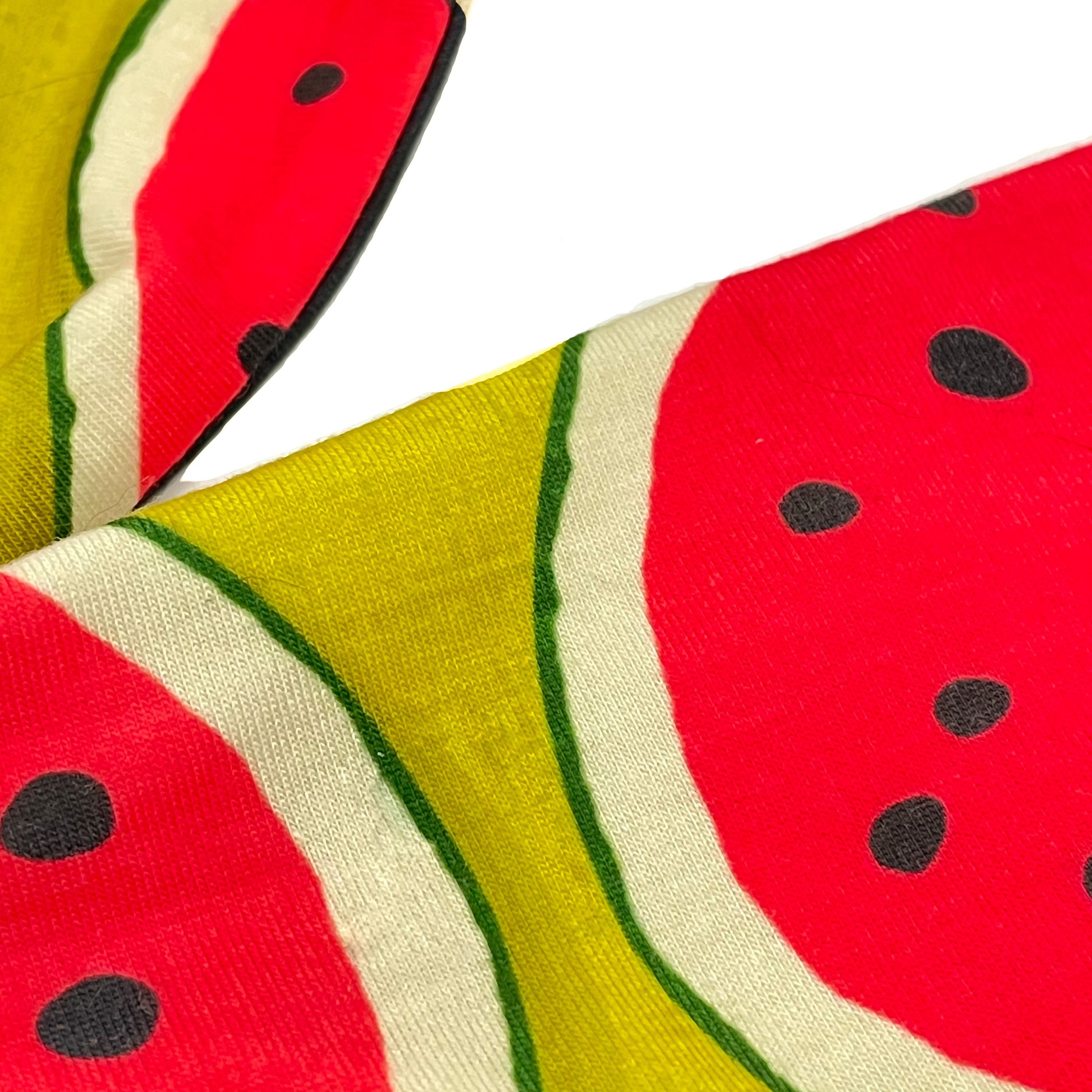Wassermelone Picknick Hund Bandana Sommer Hund Bandana Senf Etsy